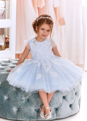 Feifei Sleeves Ivory Lace Sky Blue Tulle Flower Girl Dress